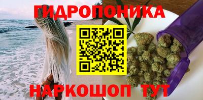 гашик Ирбит