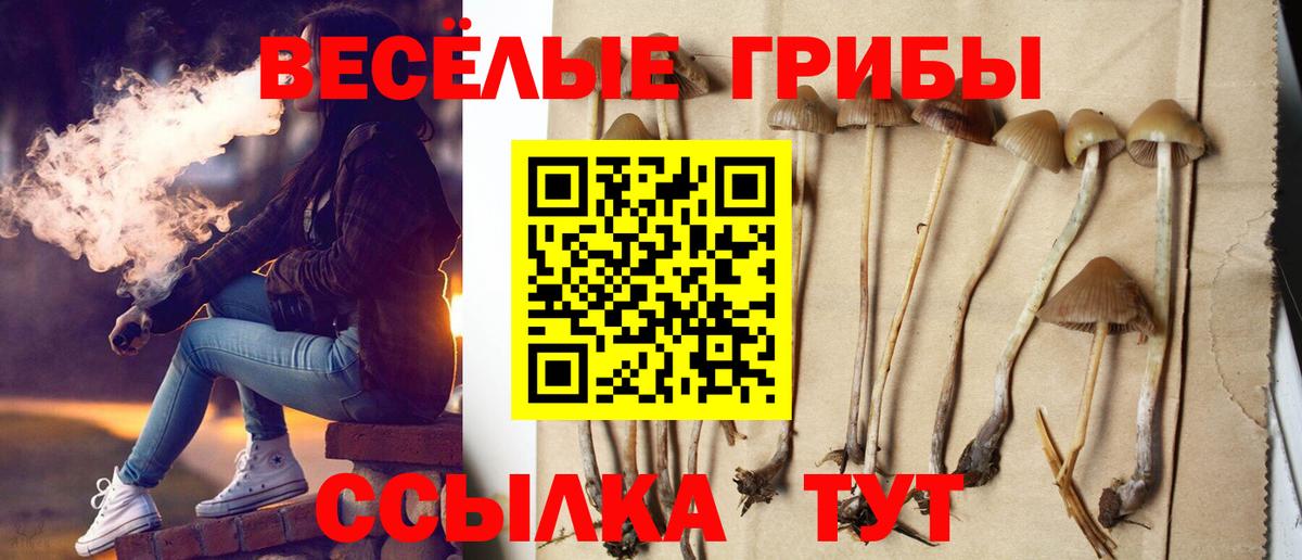 Псилоцибиновые грибы GOLDEN TEACHER Лесосибирск