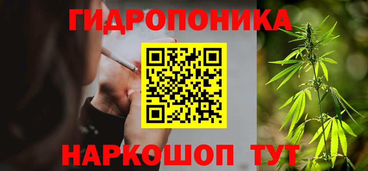 Шишки марихуана план Лесосибирск